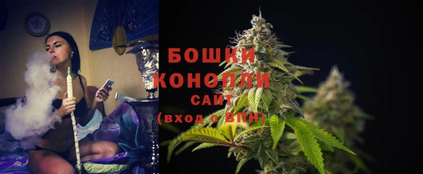 ГАЛЛЮЦИНОГЕННЫЕ ГРИБЫ Горно-Алтайск