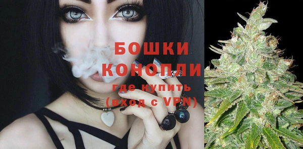 ГАЛЛЮЦИНОГЕННЫЕ ГРИБЫ Горно-Алтайск