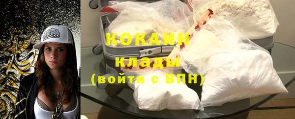 ГАЛЛЮЦИНОГЕННЫЕ ГРИБЫ Горно-Алтайск
