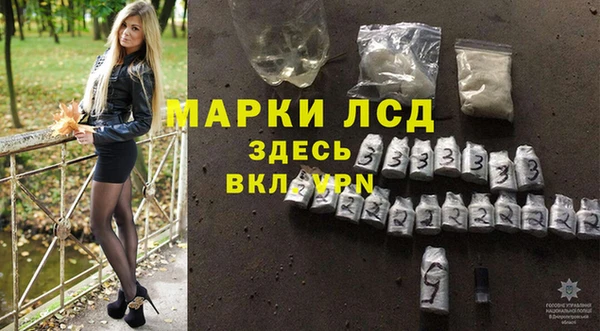 ГАЛЛЮЦИНОГЕННЫЕ ГРИБЫ Горно-Алтайск