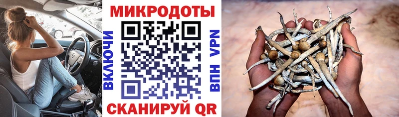 Псилоцибиновые грибы мухоморы Спасск-Рязанский